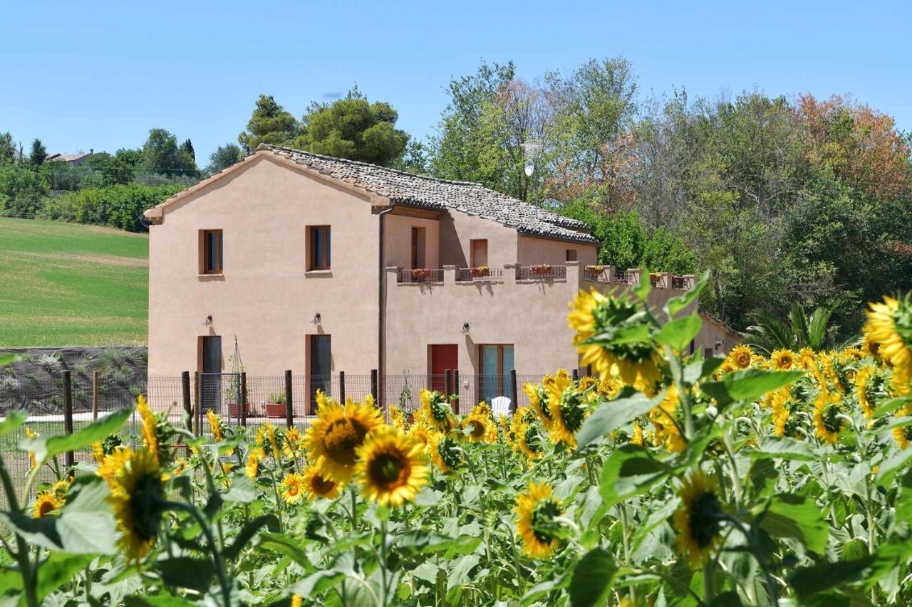 Casa Montefiore 13 Girasoli Lt Nella Tranquilla Campagna Marchigiana Ancona Ngoại thất bức ảnh