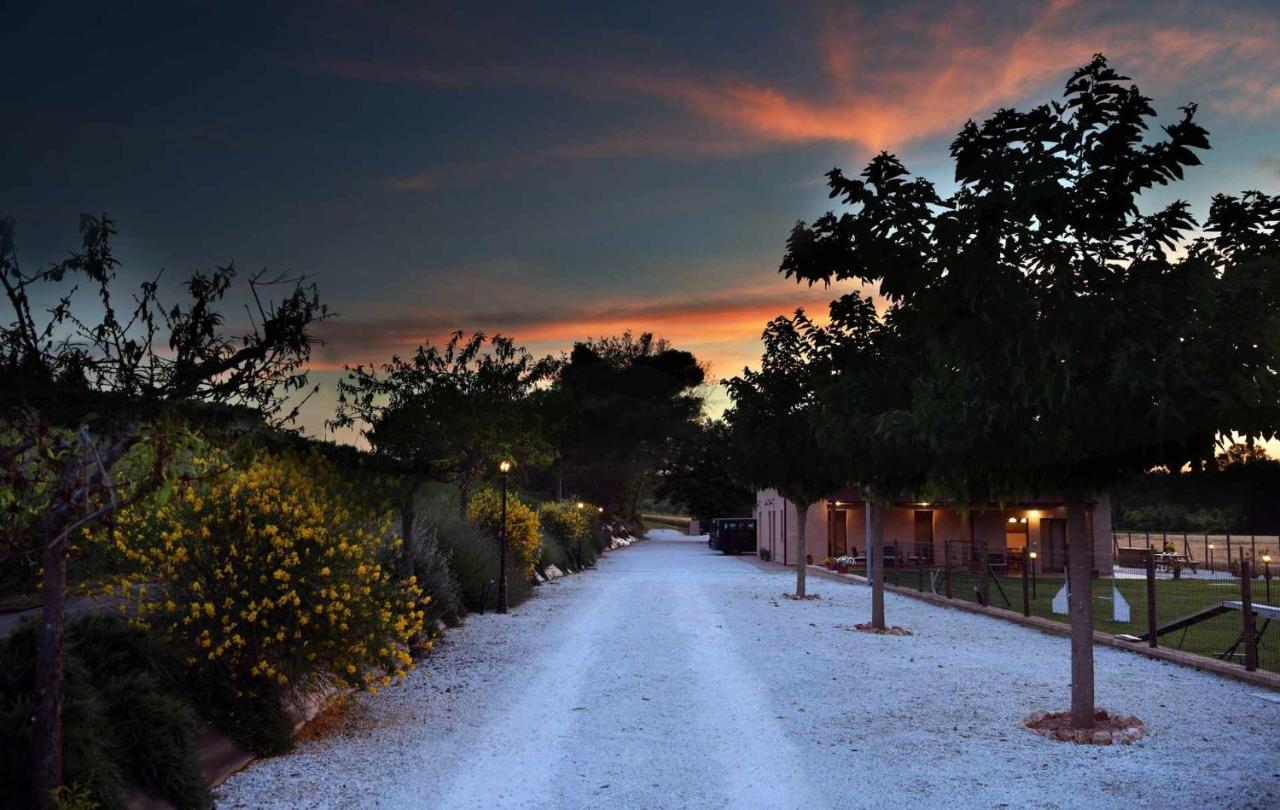 Casa Montefiore 13 Girasoli Lt Nella Tranquilla Campagna Marchigiana Ancona Ngoại thất bức ảnh