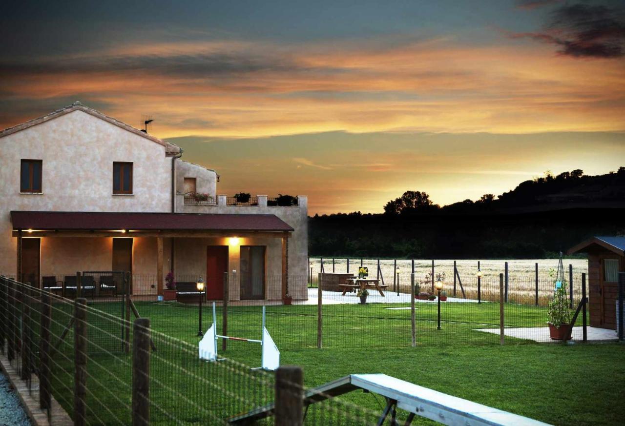 Casa Montefiore 13 Girasoli Lt Nella Tranquilla Campagna Marchigiana Ancona Ngoại thất bức ảnh