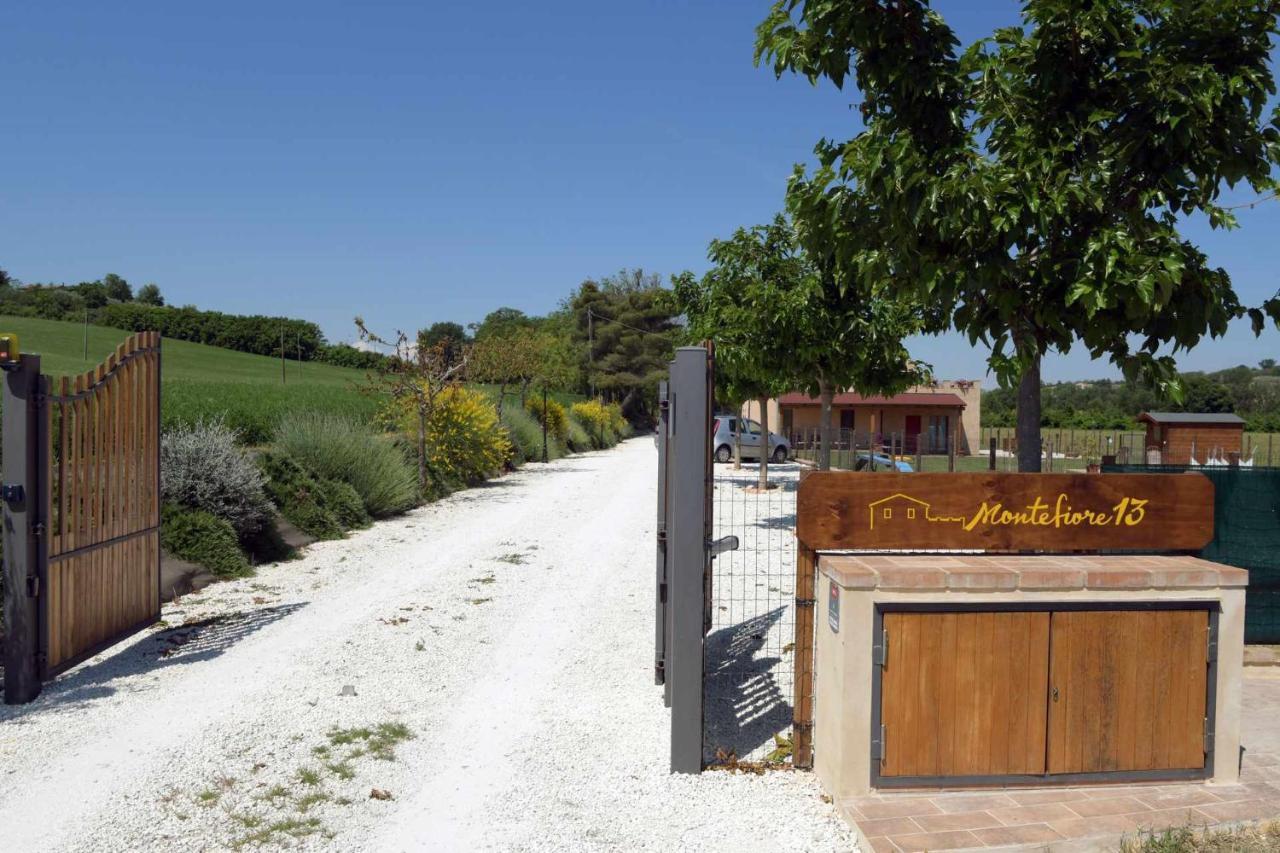 Casa Montefiore 13 Girasoli Lt Nella Tranquilla Campagna Marchigiana Ancona Ngoại thất bức ảnh